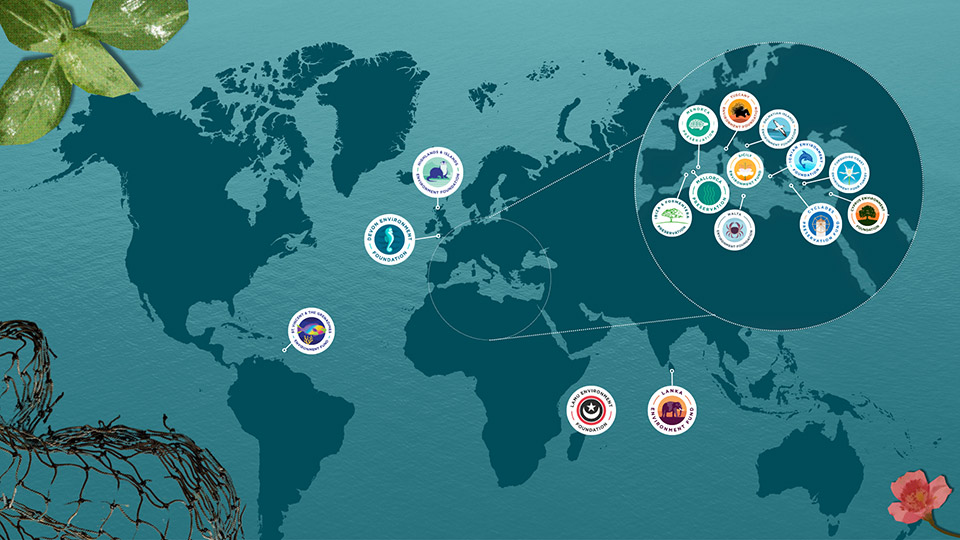 project map